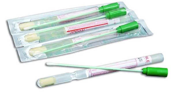 Mold Swab